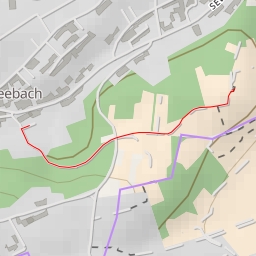 thumbnail for Flaggenturm