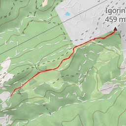 thumbnail for Igorin