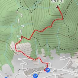 thumbnail for Monte Simer