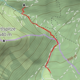 thumbnail for Burgaukopf