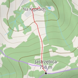 thumbnail for Jastrzębica