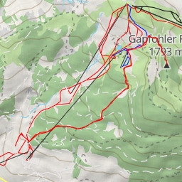 thumbnail for Gapfohler Falba