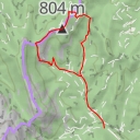 thumbnail for Roca Sareny