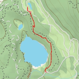 thumbnail for Lee's Leap