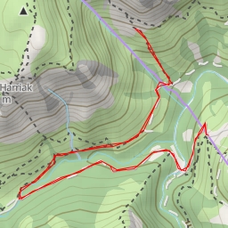 thumbnail for Antxiagorriko harrizko zuhaitza