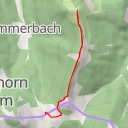 thumbnail for Königsberger Horn