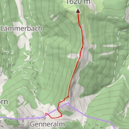 thumbnail for Königsberger Horn