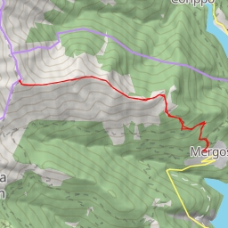 thumbnail for Madone