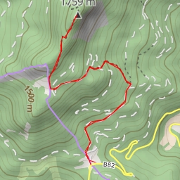 thumbnail for Kärntner Storschitz