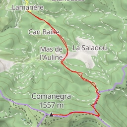 thumbnail for Comanegra