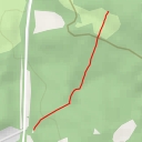 thumbnail for Pinnae