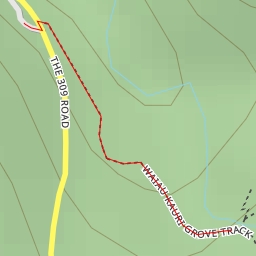 thumbnail for Waiau Kauri Grove Track - Waiau Kauri Grove Track