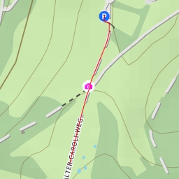 thumbnail for Walter-Caroli-Weg - Walter-Caroli-Weg