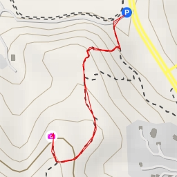 thumbnail for Anton Knechtel - San Diego