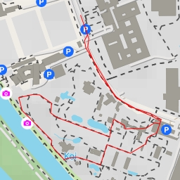 thumbnail for Waschbären - Sonnenterrasse - Heidelberg