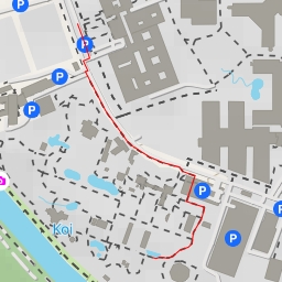 thumbnail for Kängurus - Tiergartenstraße - Heidelberg