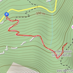 thumbnail for Boal de ses Serveres - pas des Cossis