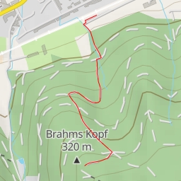 thumbnail for Brahms Kopf