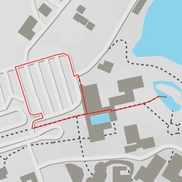 thumbnail for False Gavial