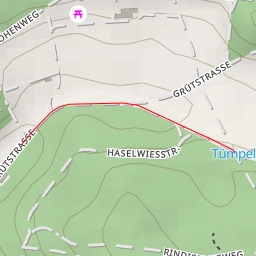 thumbnail for Tümpel