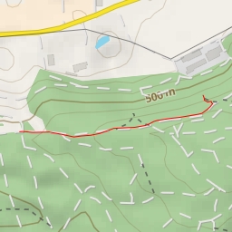 thumbnail for Spitzflue