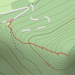 thumbnail for SN 1306