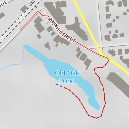 thumbnail for Old Oak Pond