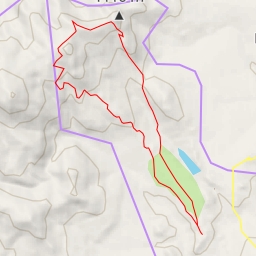 thumbnail for Bird's Eye