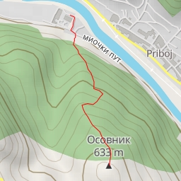 thumbnail for Осовник