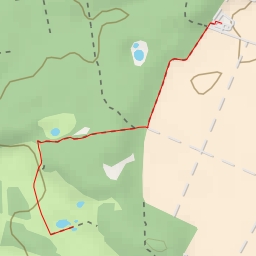 thumbnail for In der Heide