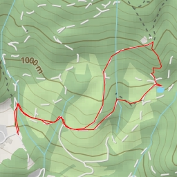 thumbnail for wohl - wohl