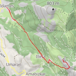 thumbnail for Arbori