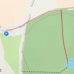 thumbnail for mare forestière