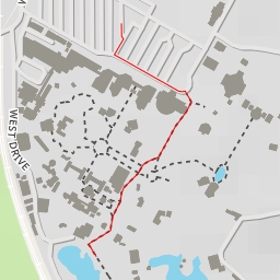 thumbnail for Audubon Zoo - Leake Avenue - New Orleans