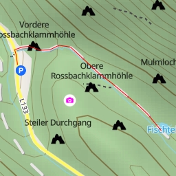 thumbnail for Fischteich