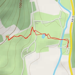 thumbnail for Redwood tree alley