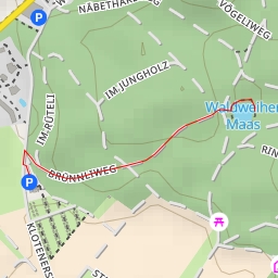 thumbnail for Waldweiher Maas