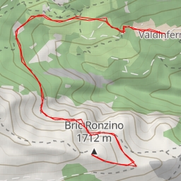 thumbnail for Bric Ronzino