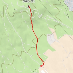 thumbnail for Madroñal