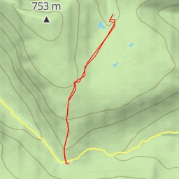 thumbnail for Pluckhor