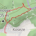 thumbnail for Debeli hrib