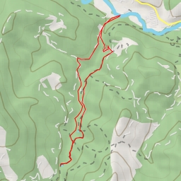 thumbnail for Gorg Petit del Colomer