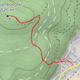 thumbnail for Wasenkoepfel