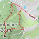 thumbnail for Samotni bor