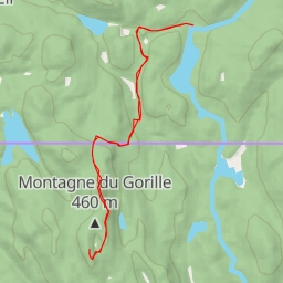 thumbnail for Sentier du Mont-Gorille