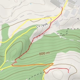 thumbnail for CV-7970