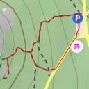 thumbnail for Muselmann