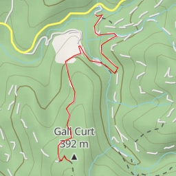 thumbnail for Gall Curt