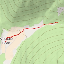 thumbnail for Gavel Neese