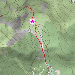 thumbnail for Wurzelsteig